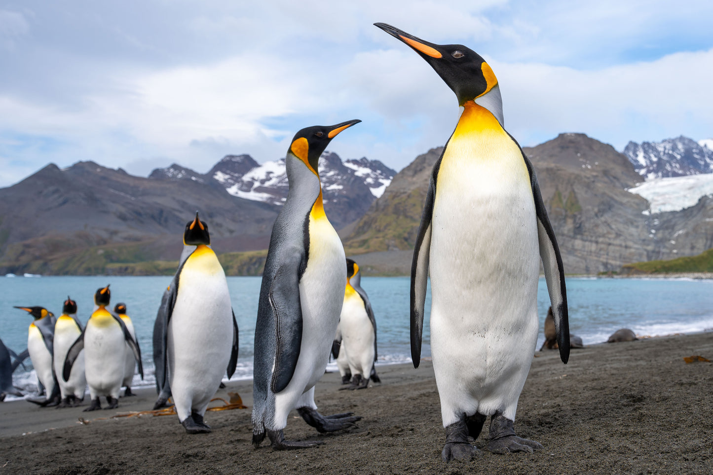 Packed to the Rafters