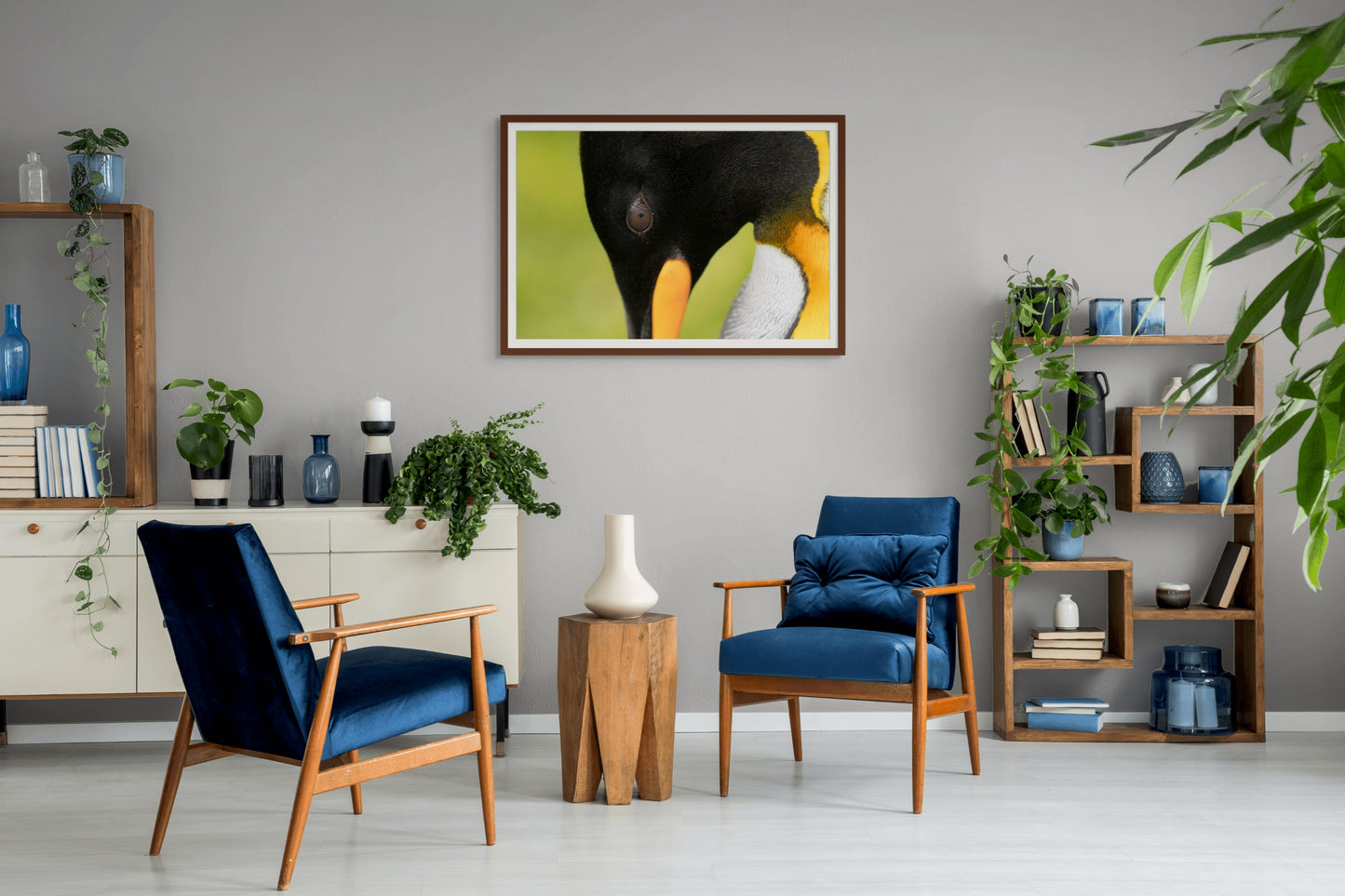 Jewel of South Georgia