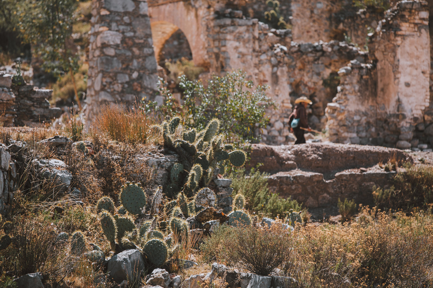 The Abandoned City of Fantasma