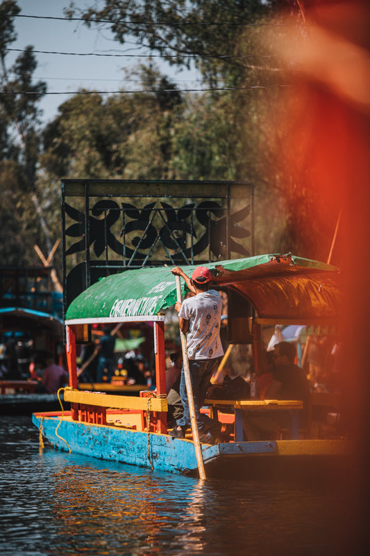 The Canals of Xochimilco