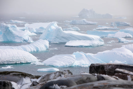 Iceberg Graveyard