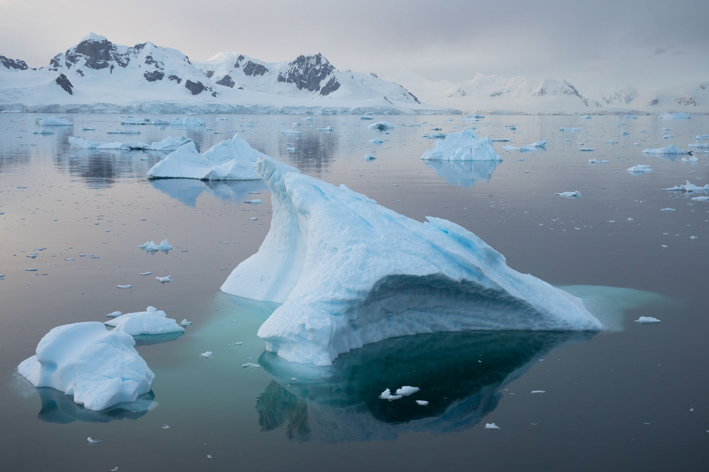 Midnight Bergs