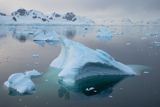 Midnight Bergs