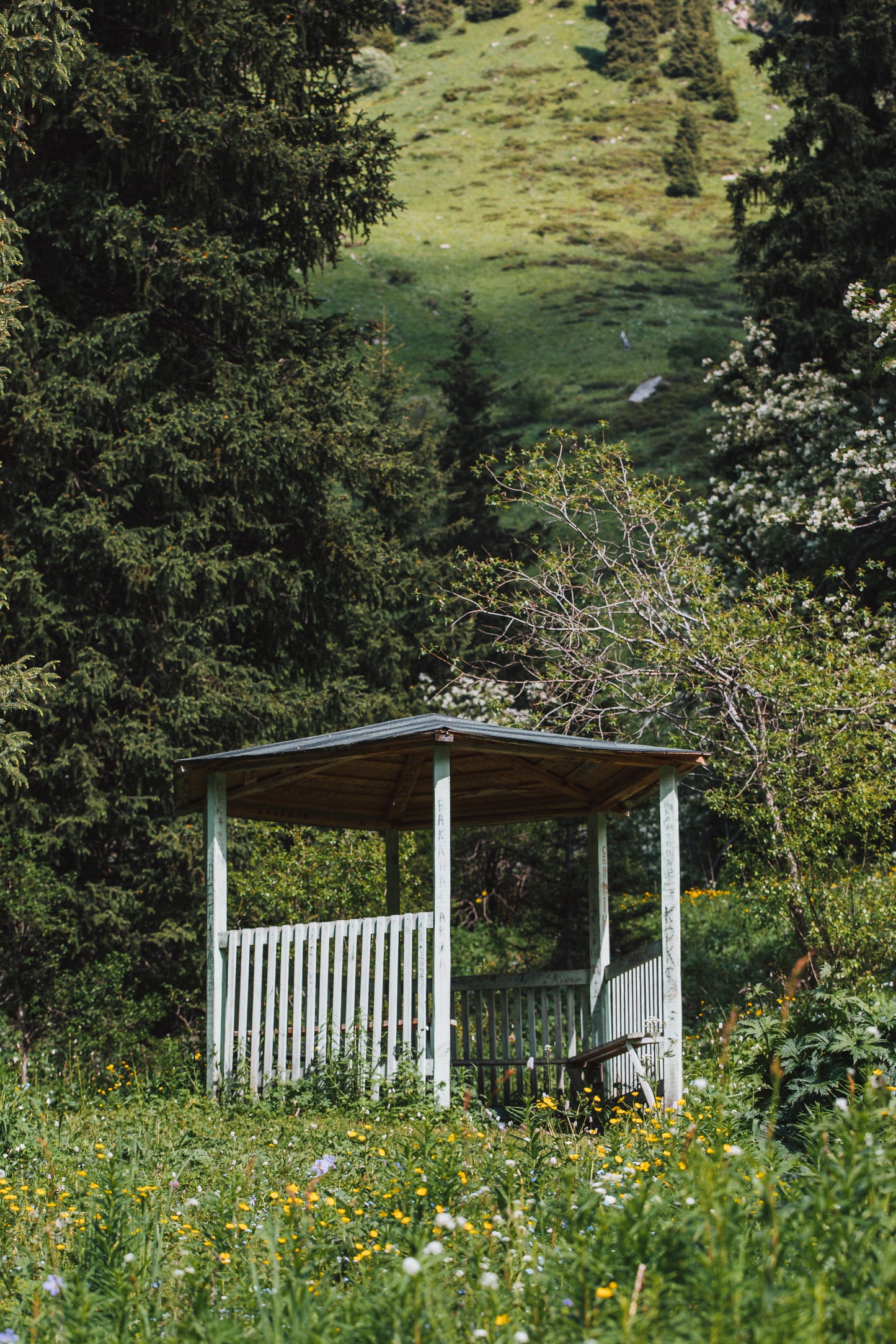 In the Forests of Almaty