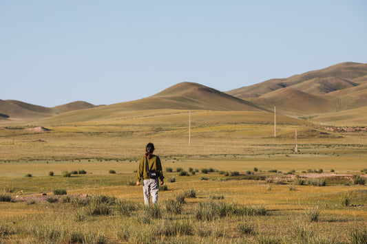 Across the Steppe