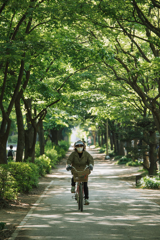 Seoul Forest