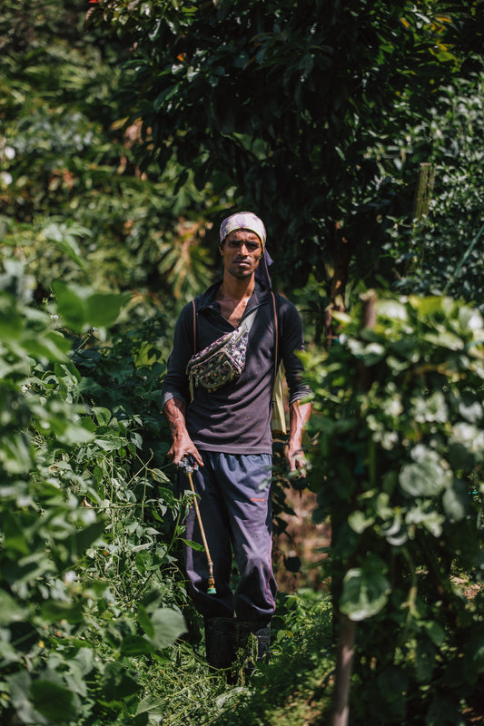 Humans of the Cameron Highlands