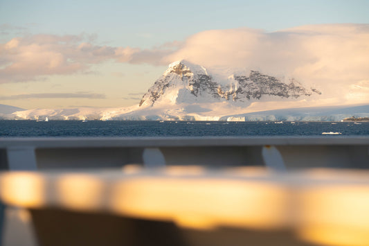 Arvos in Antarctica