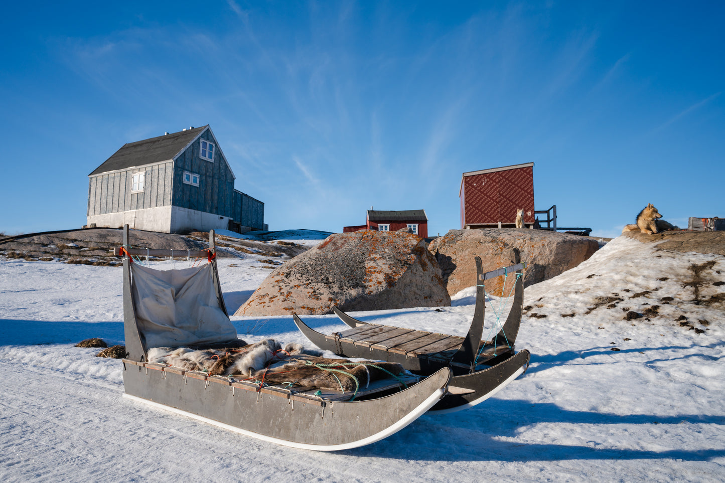 Dogsledding