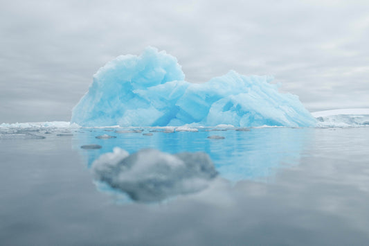 Ice Reflections