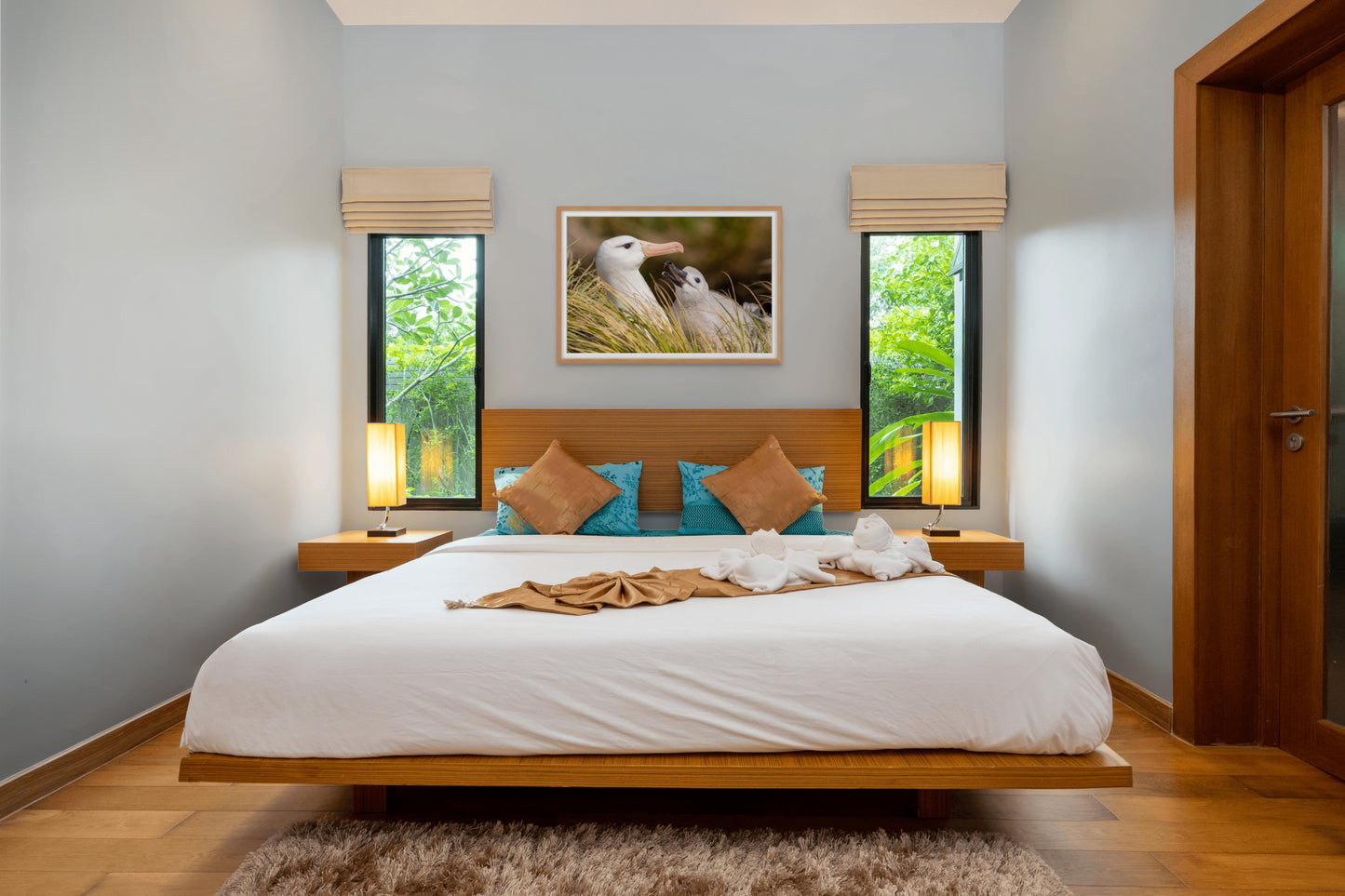 Black Browed Albatross #2