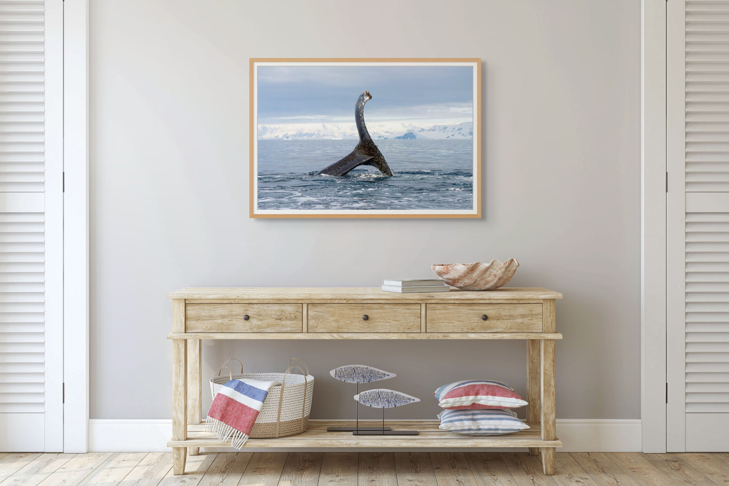 Humpback Fun
